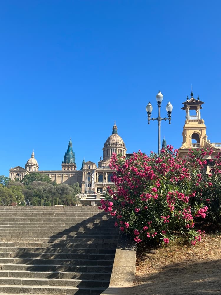 Travel Image 1